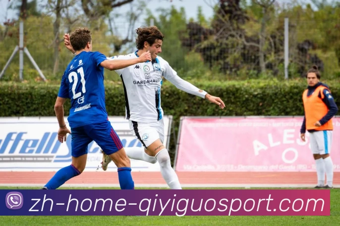 奇异果体育发展历程